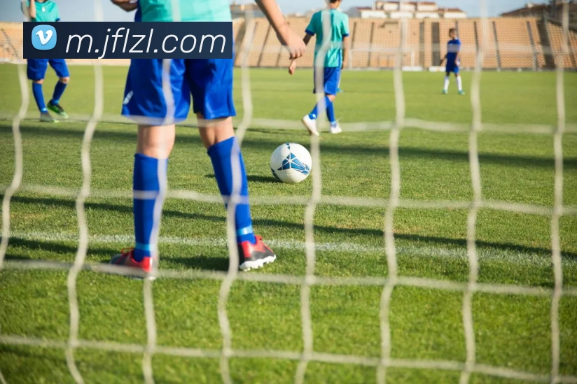 尊龙凯时APP 封面图